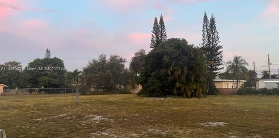 Terreno en Hallandale Beach, Florida № 2013858