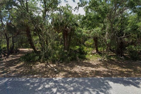 Land in Port Charlotte, Florida № 2211691
