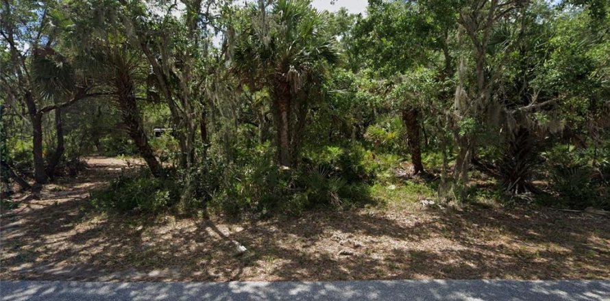 Land in Port Charlotte, Florida № 2211691