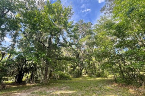 Terreno en venta en Ocala, Florida № 2126813 - foto 6