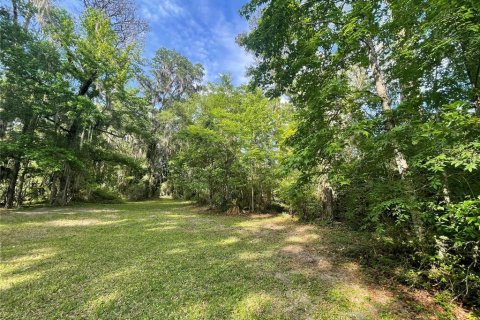 Terreno en venta en Ocala, Florida № 2126813 - foto 3
