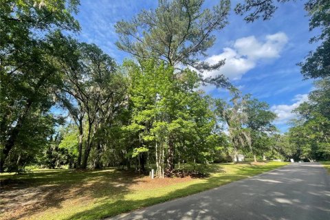 Terreno en venta en Ocala, Florida № 2126813 - foto 5