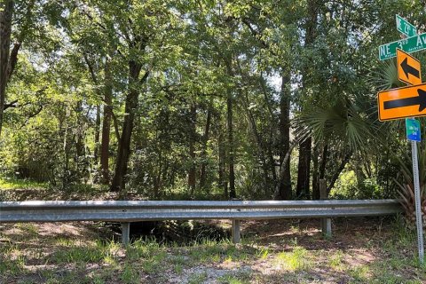 Land in Gainesville, Florida № 1564478 - photo 20
