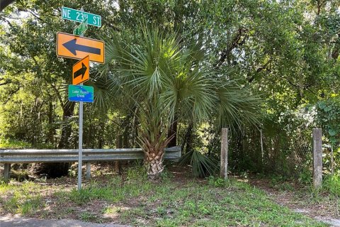 Land in Gainesville, Florida № 1564478 - photo 21