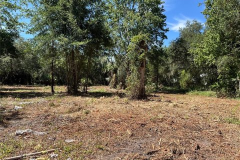 Land in Gainesville, Florida № 1564478 - photo 10