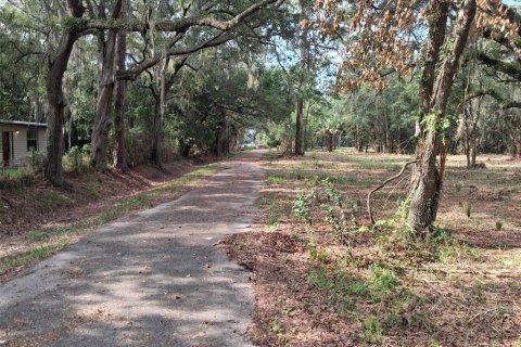 Land in Gainesville, Florida № 1564478 - photo 30