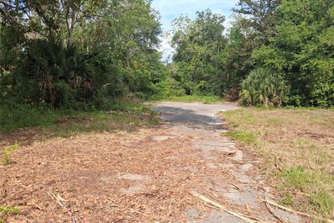 Land in Gainesville, Florida № 1564478 - photo 27