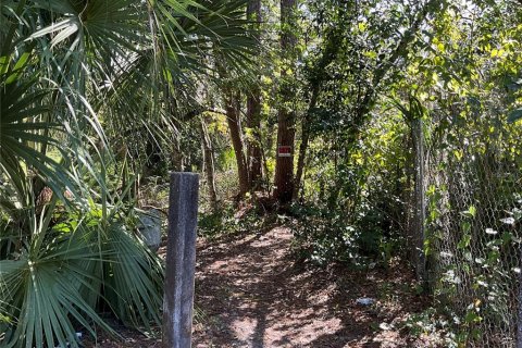 Terreno en venta en Gainesville, Florida № 1564478 - foto 2