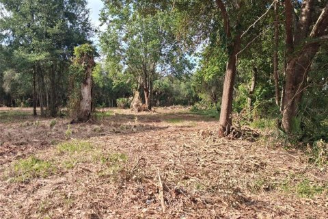Land in Gainesville, Florida № 1564478 - photo 26
