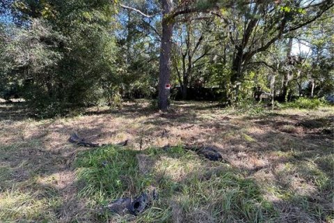 Terreno en venta en Gainesville, Florida № 1564478 - foto 4