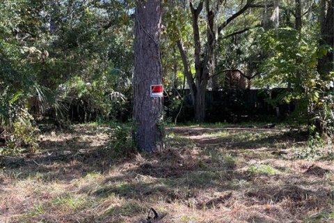 Terreno en venta en Gainesville, Florida № 1564478 - foto 6