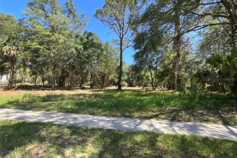 Land in Gainesville, Florida № 1564478 - photo 15