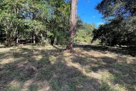 Terreno en venta en Gainesville, Florida № 1564478 - foto 5