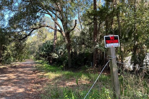 Terreno en venta en Gainesville, Florida № 1564478 - foto 7