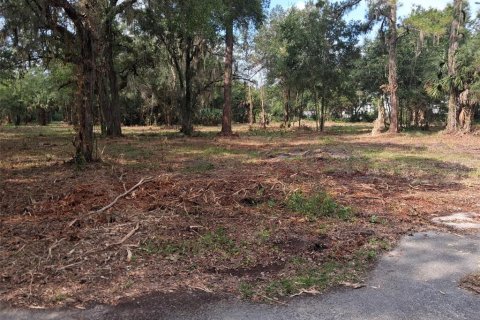 Land in Gainesville, Florida № 1564478 - photo 29