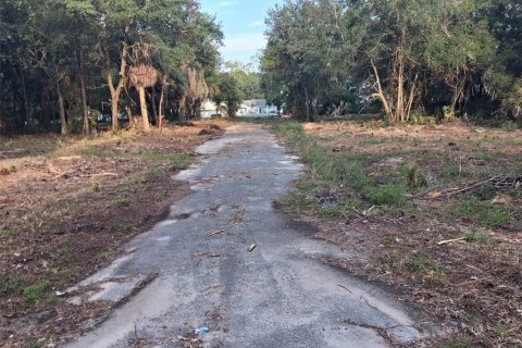Land in Gainesville, Florida № 1564478 - photo 24