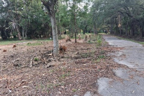 Land in Gainesville, Florida № 1564478 - photo 25
