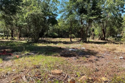 Land in Gainesville, Florida № 1564478 - photo 11