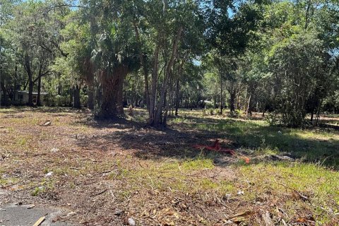 Land in Gainesville, Florida № 1564478 - photo 12