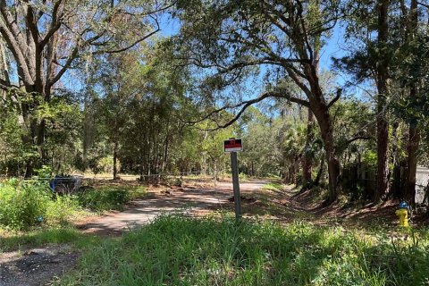 Land in Gainesville, Florida № 1564478 - photo 14