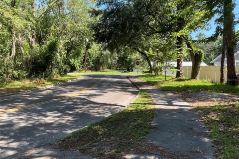Land in Gainesville, Florida № 1564478 - photo 22