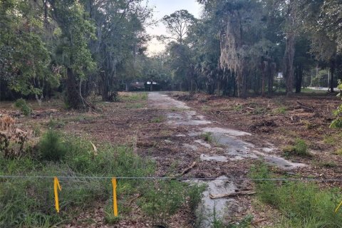 Land in Gainesville, Florida № 1564478 - photo 23