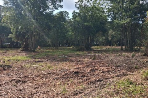 Land in Gainesville, Florida № 1564478 - photo 28