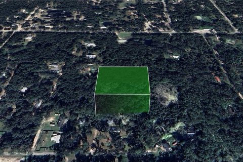 Land in Webster, Florida № 1803215 - photo 8
