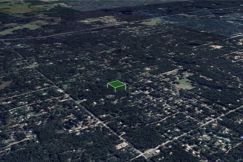 Land in Webster, Florida № 1803215 - photo 9