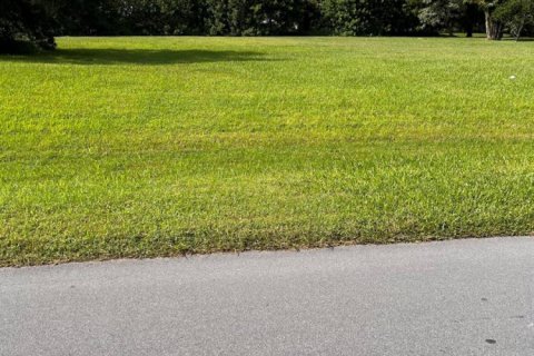 Commercial property in St. Lucie, Florida № 2250983 - photo 4