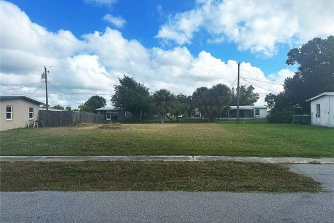 Land in Port Charlotte, Florida № 2160561