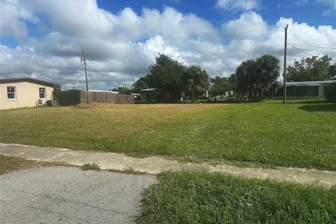 Land in Port Charlotte, Florida № 2160561 - photo 2