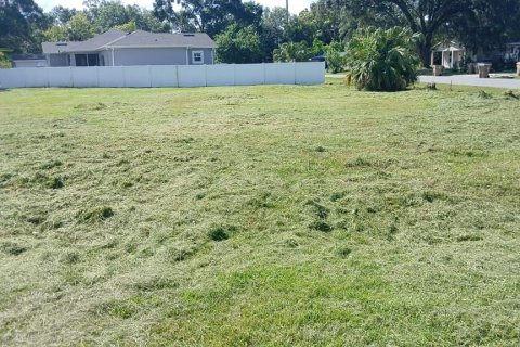 Land in Kissimmee, Florida № 2119842