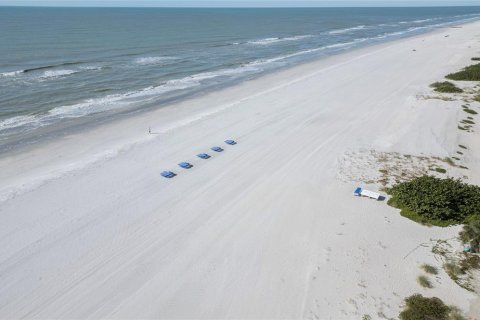 Condo in Indian Shores, Florida, 1 bedroom  № 2195988 - photo 19