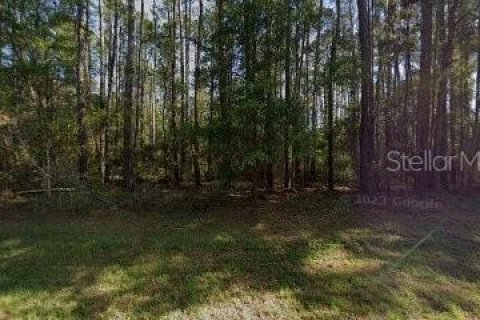 Land in Citrus Springs, Florida № 1688087 - photo 8