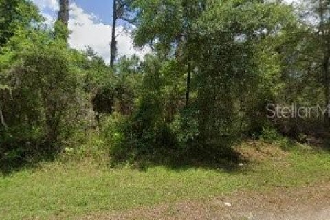 Land in Citrus Springs, Florida № 1688087 - photo 12