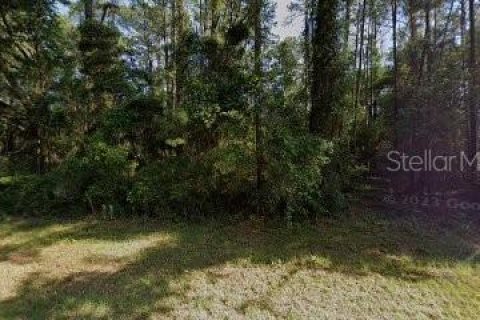 Land in Citrus Springs, Florida № 1688087 - photo 4