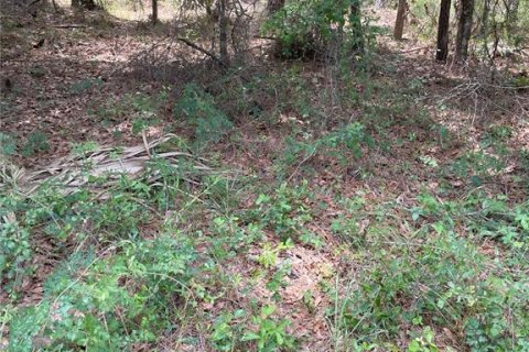 Terreno en venta en Citrus Springs, Florida № 1688087 - foto 19