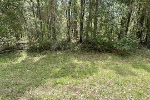 Terreno en venta en Citrus Springs, Florida № 1688087 - foto 18