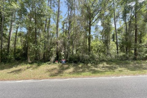 Terreno en venta en Citrus Springs, Florida № 1688087 - foto 20