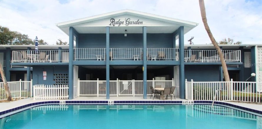 Studio in the Condo in Sarasota, Florida № 2239748