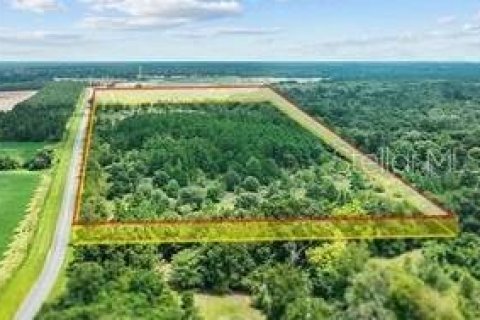 Land in Jasper, Florida № 1414112 - photo 2