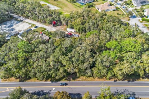 Land in Sorrento, Florida № 1561846 - photo 8
