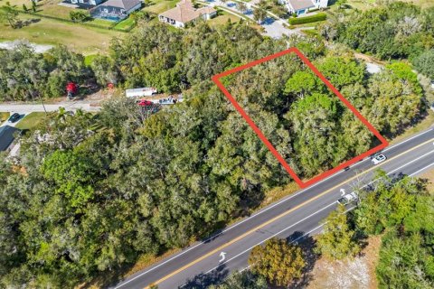 Land in Sorrento, Florida № 1561846 - photo 2
