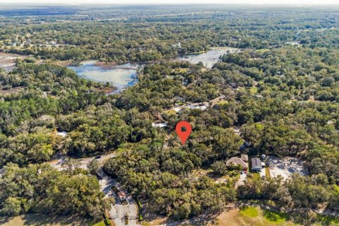 Land in Sorrento, Florida № 1561846 - photo 5