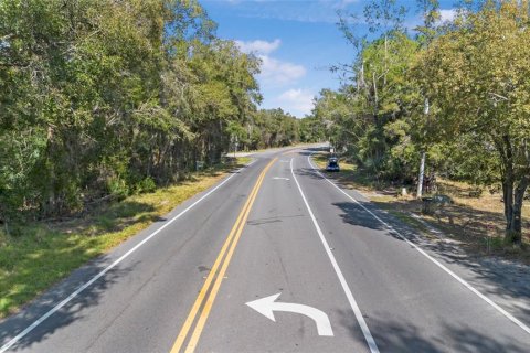 Land in Sorrento, Florida № 1561846 - photo 20