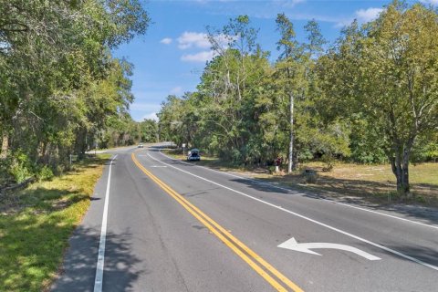 Land in Sorrento, Florida № 1561846 - photo 21