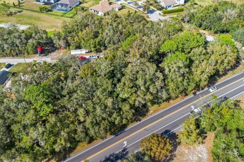 Land in Sorrento, Florida № 1561846 - photo 7