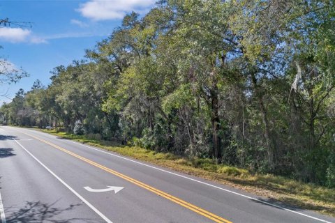 Land in Sorrento, Florida № 1561846 - photo 4