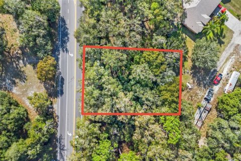 Land in Sorrento, Florida № 1561846 - photo 10
